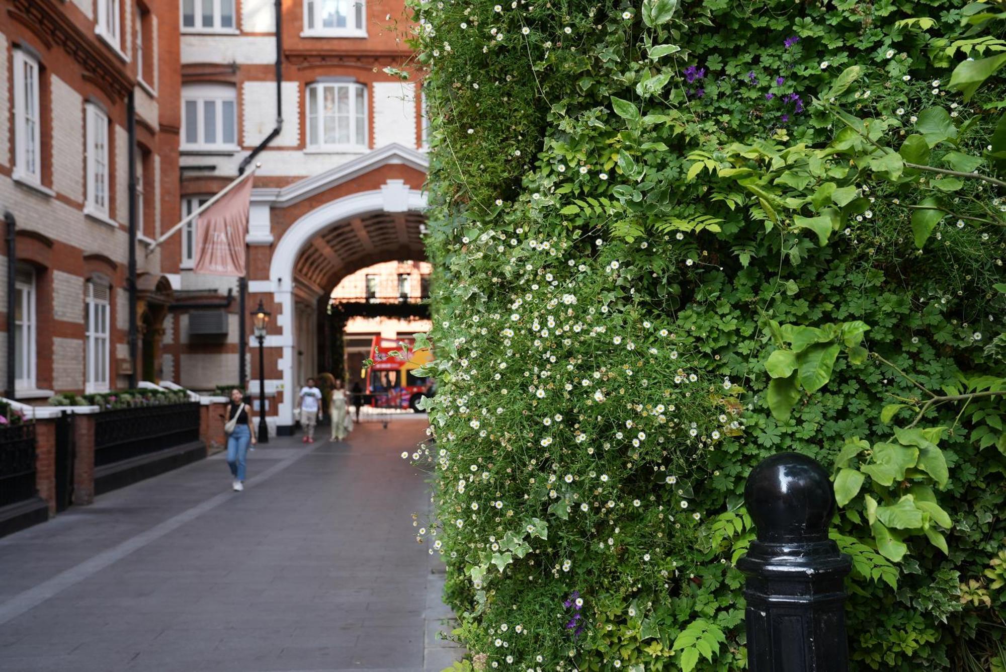 St. James' Court, A Taj Hotel, 4* Londra